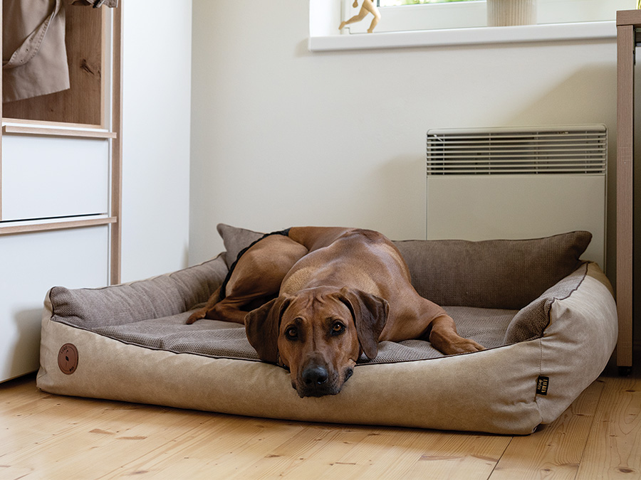 kaetegorie-pelechy-pro-psy